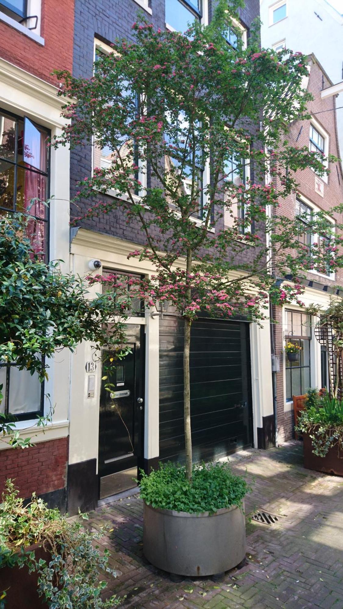 Huis Roomolen أمستردام المظهر الخارجي الصورة